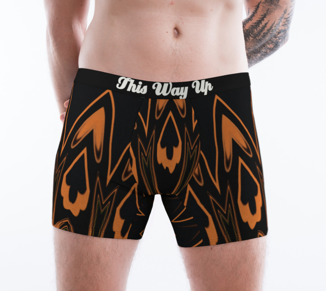 Aperçu de This Way Up - Boxer Briefs #1