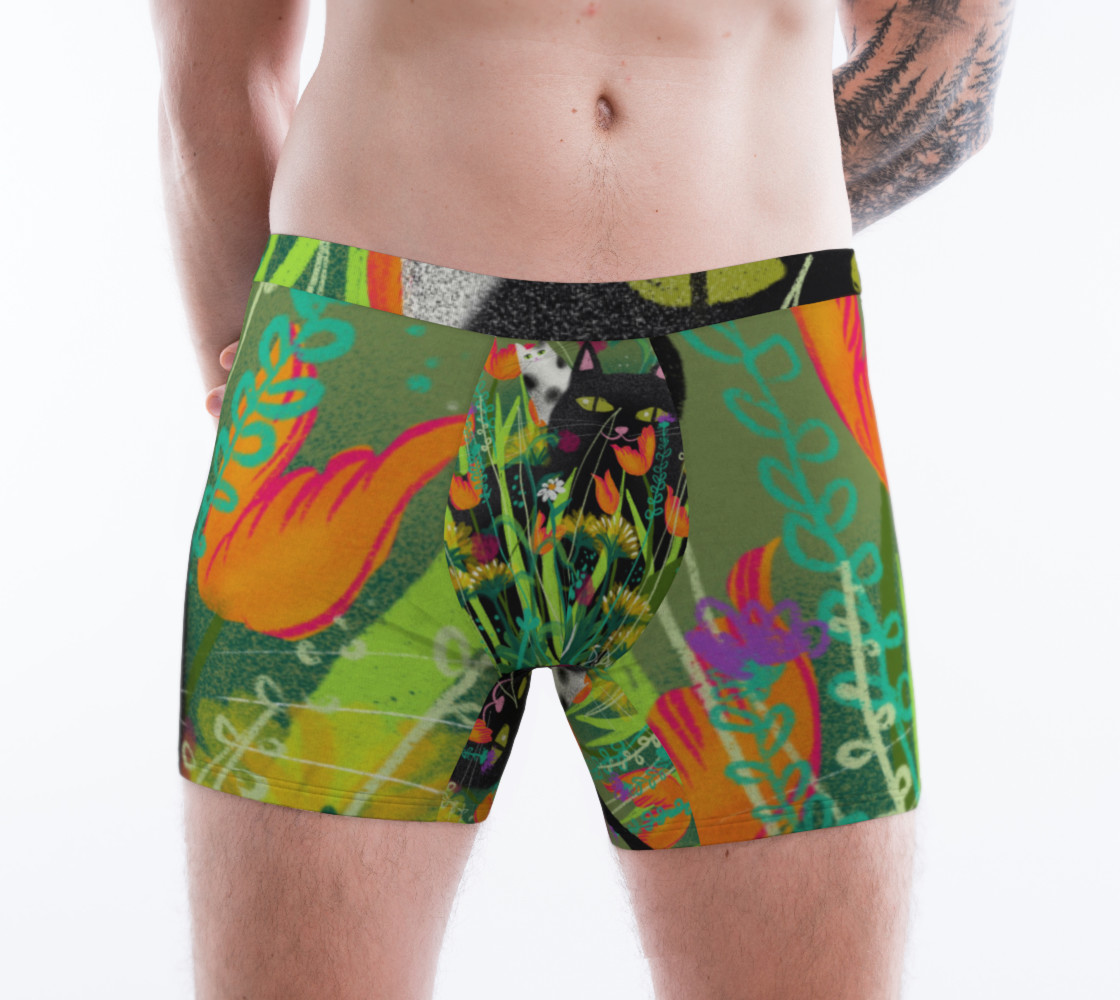 Boxer Minous preview #1