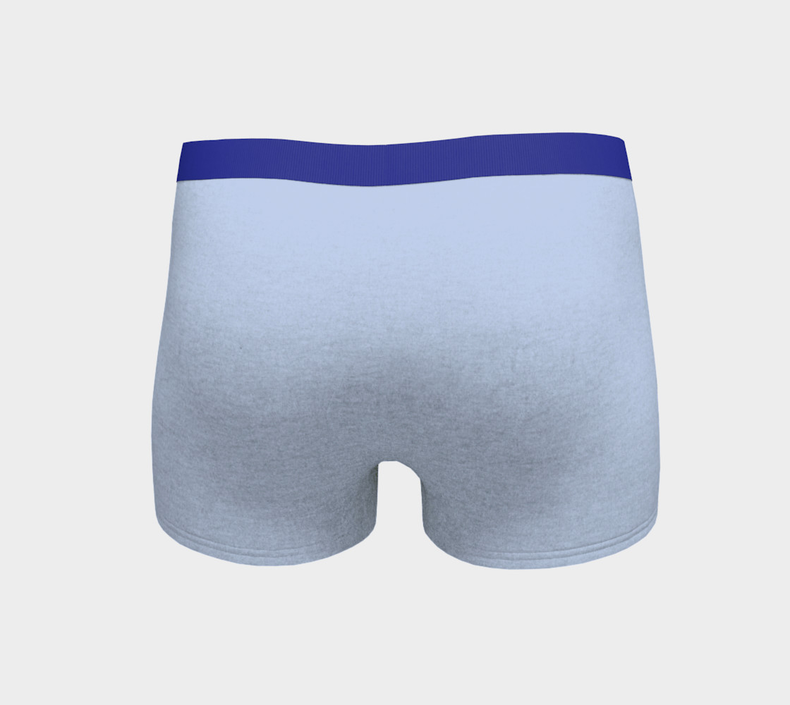 Astrological sign Aquarius constellation Boyshort preview #4