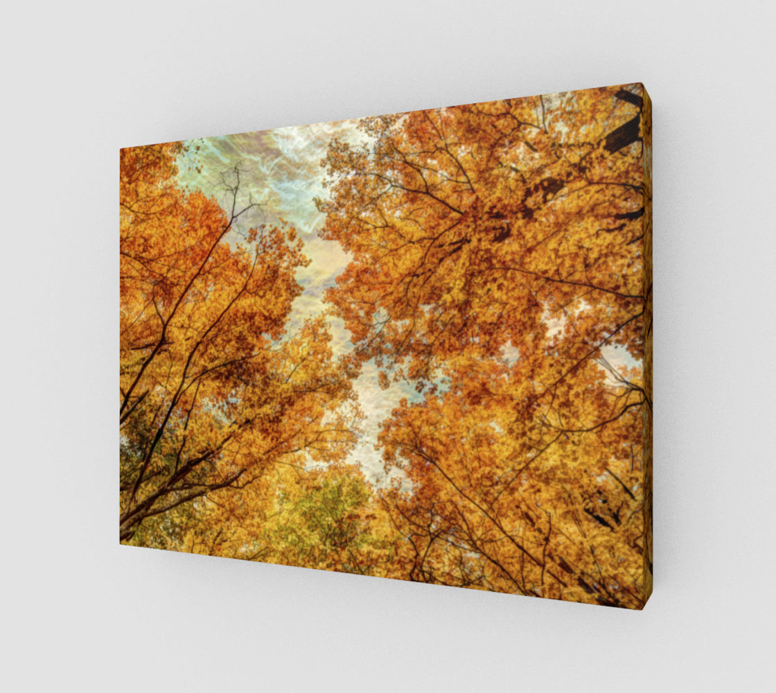Fall Matrix preview #1