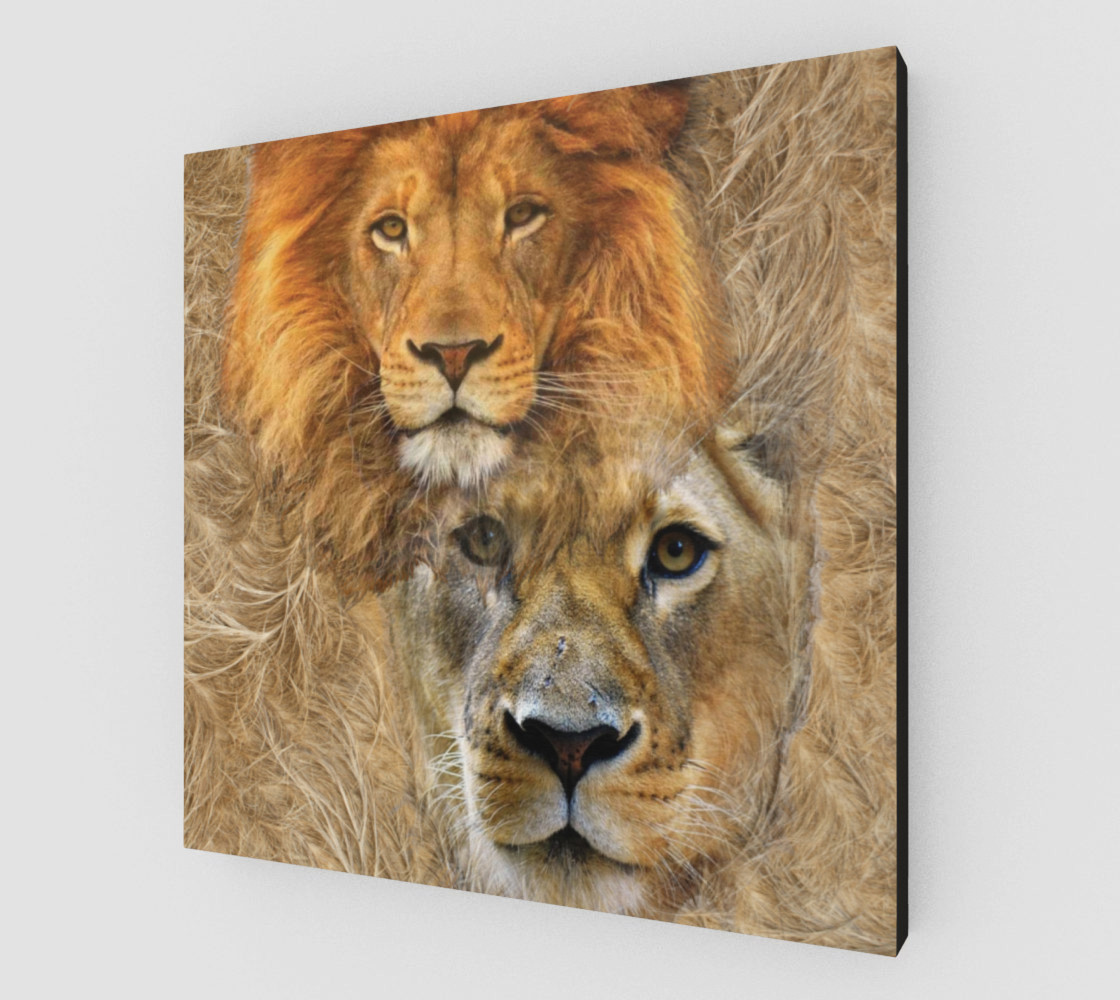 Lion King and Queen preview #2