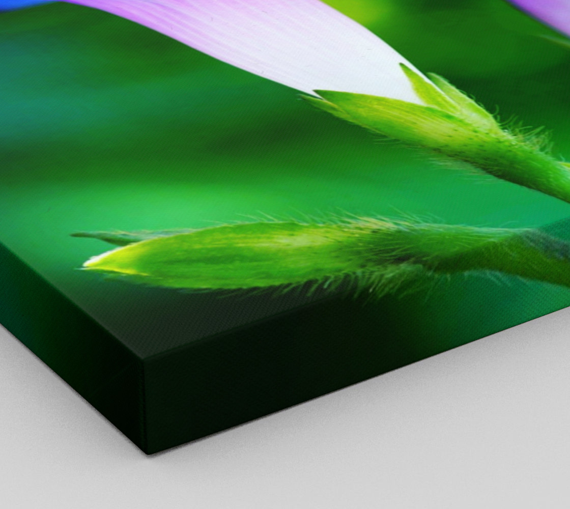 Trumpet Flower preview #3