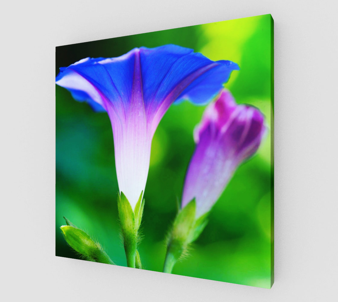 Trumpet Flower preview #1