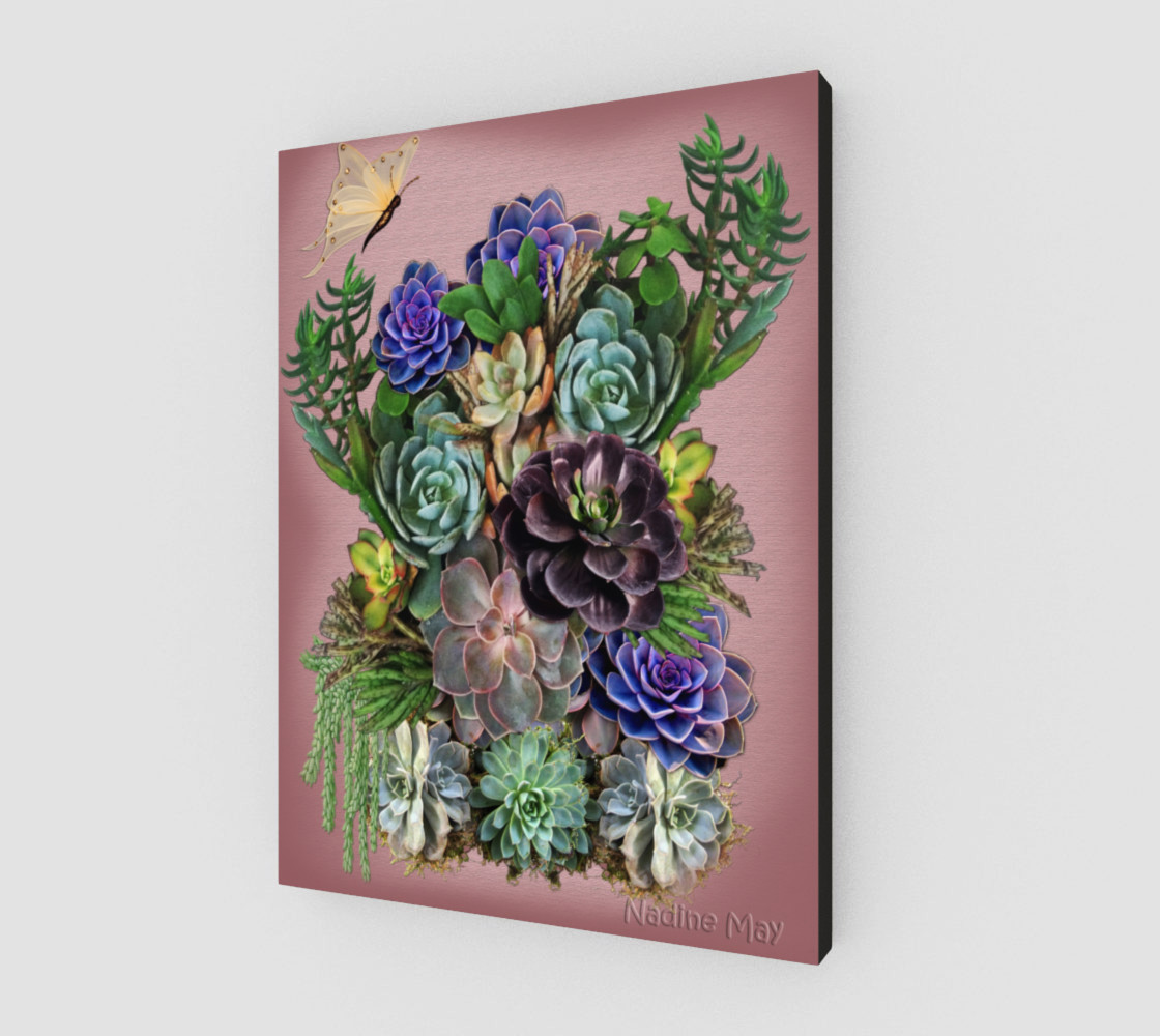 Succulents from my garden preview #2