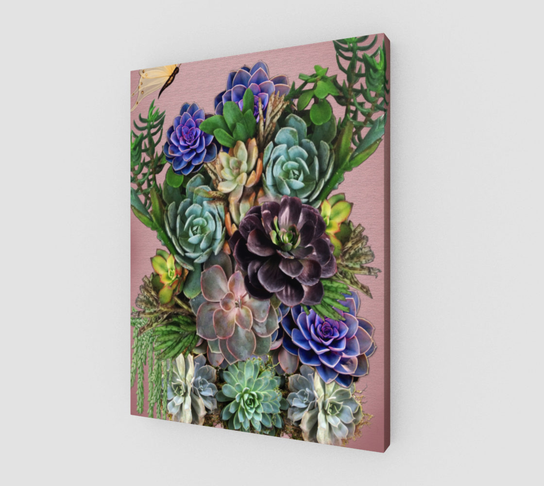 Succulents from my garden preview #1
