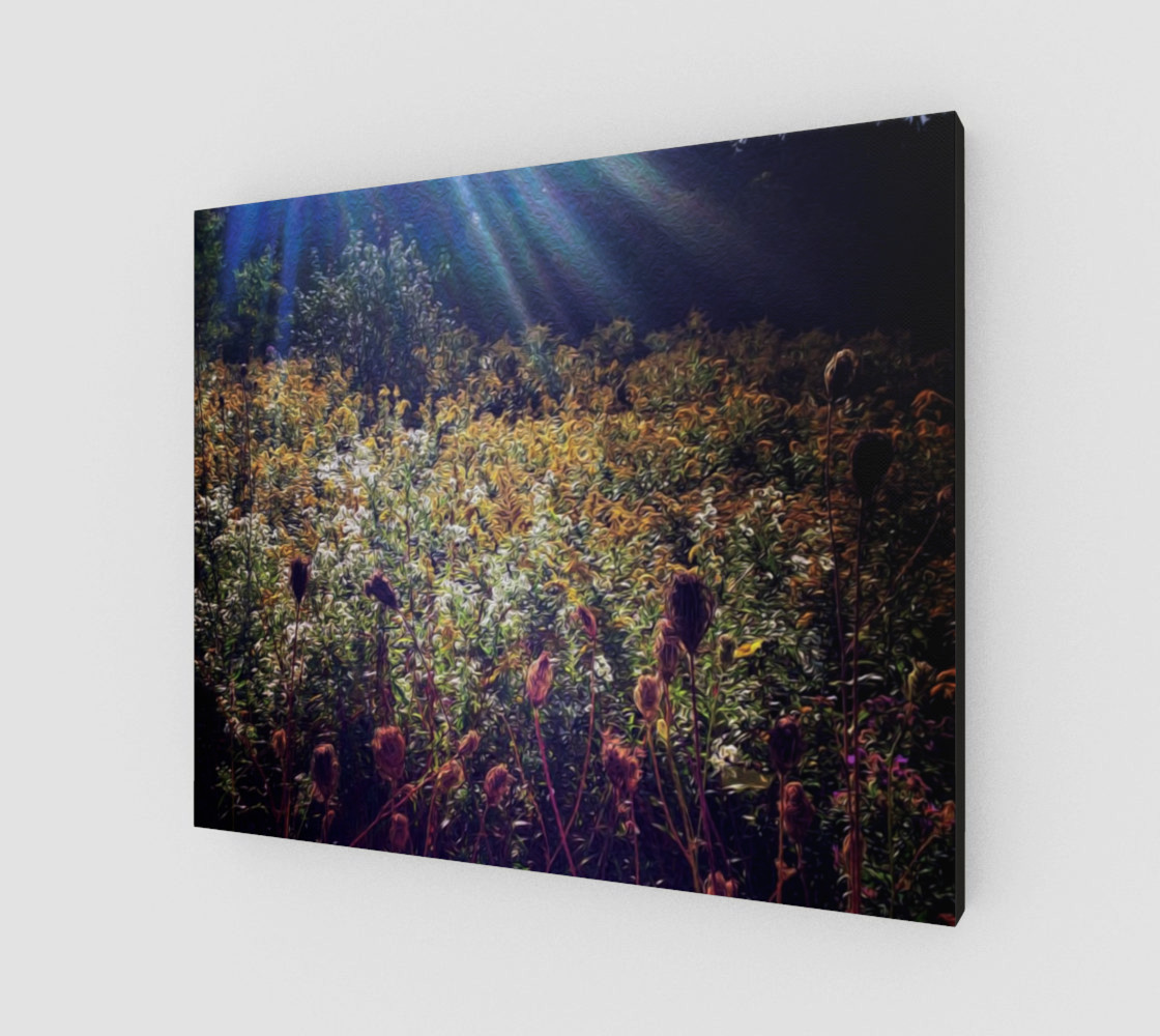 Forever Fields preview #2