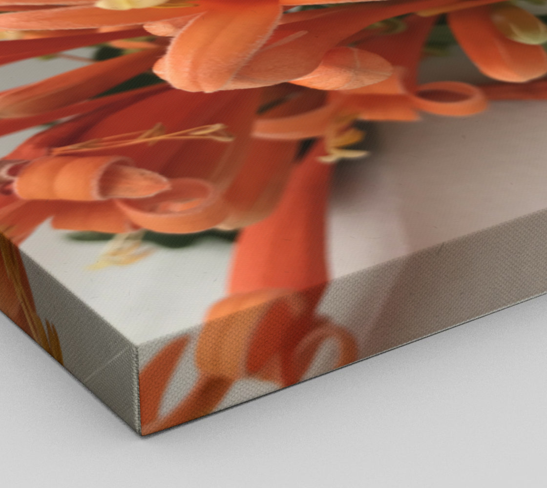YMCA Orange Flower/Flor preview #3