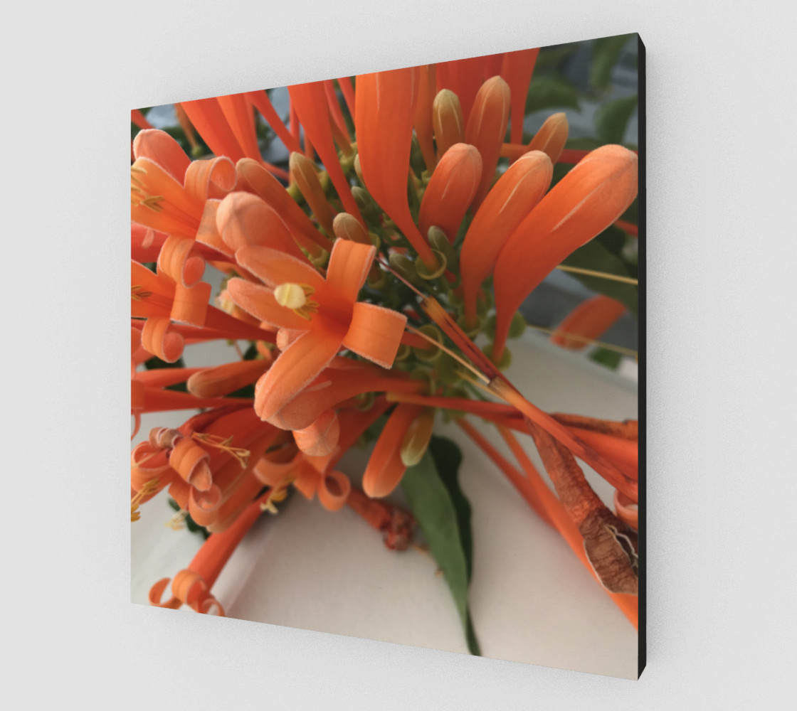 YMCA Orange Flower/Flor preview #2