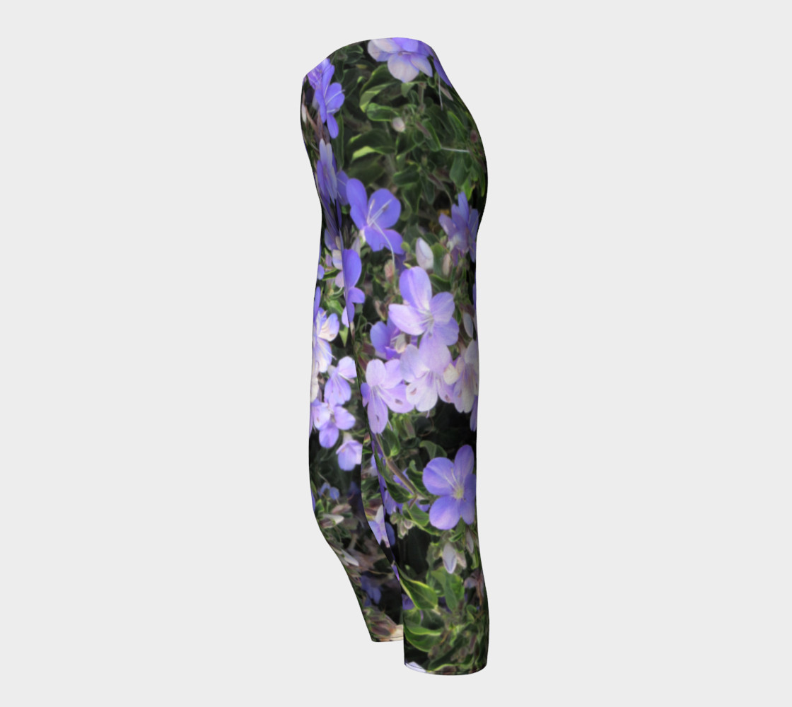 Lilac flowers preview #3