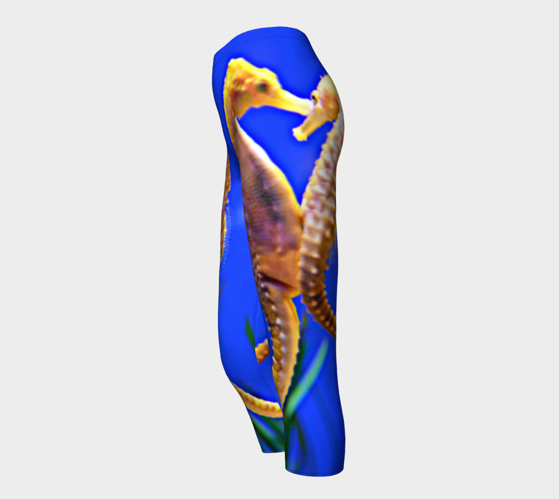 Dancing Seahorses Capri preview #3