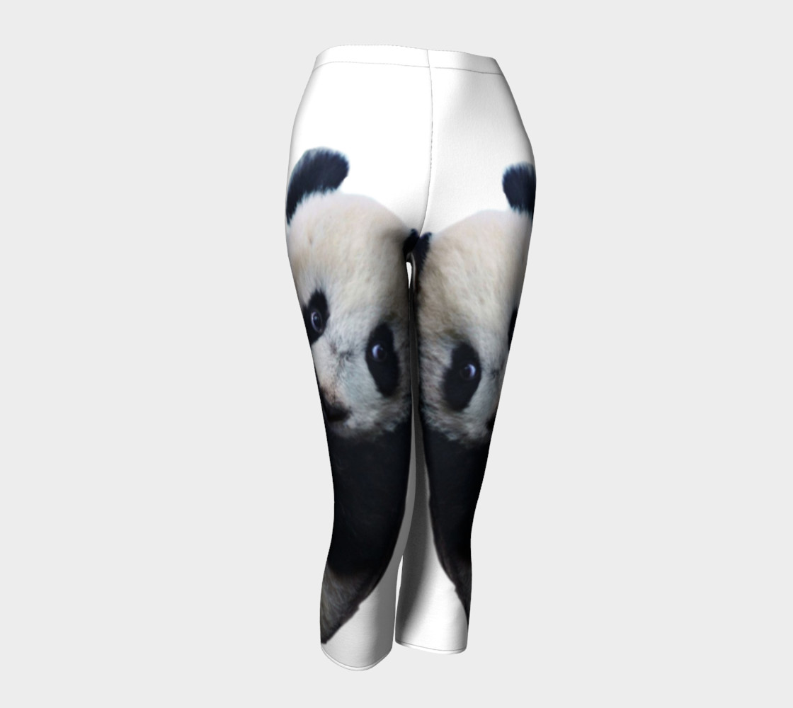 Panda  3D preview