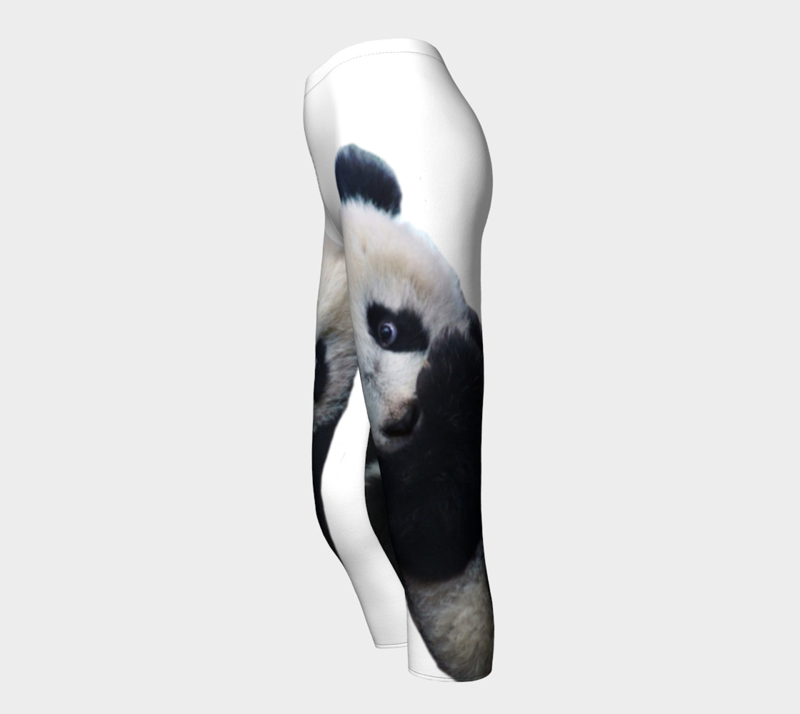 Panda preview #3