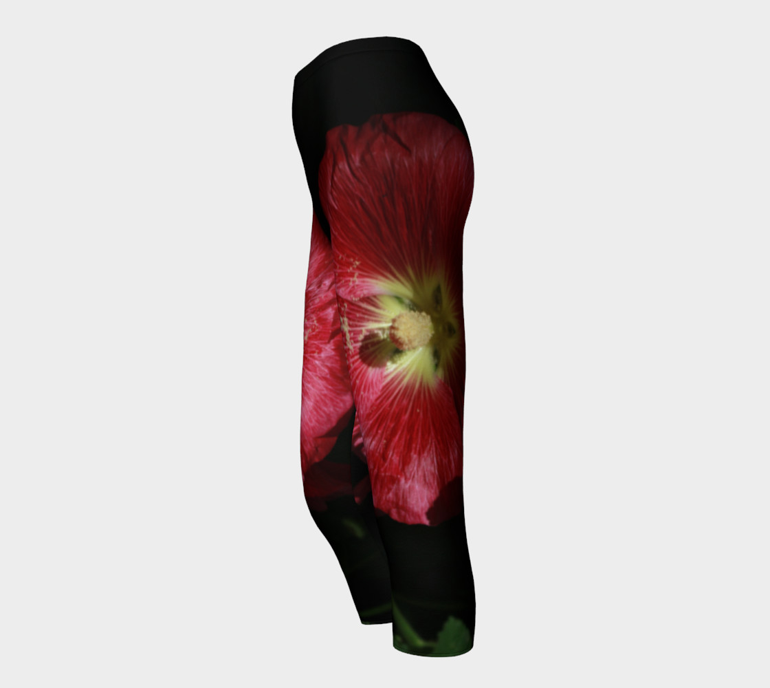 Hollyhock preview #3