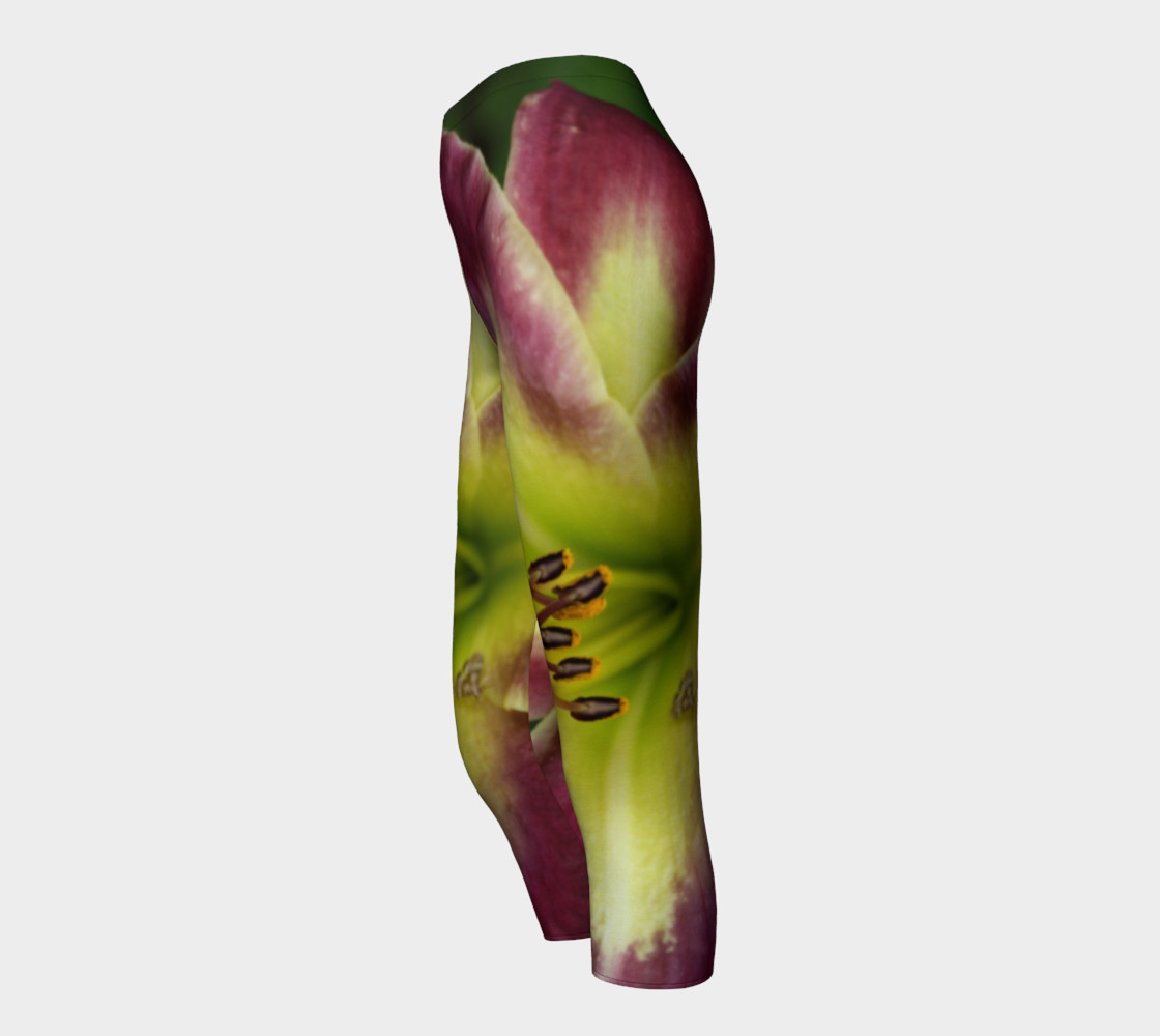 Time to fly tights! preview #3