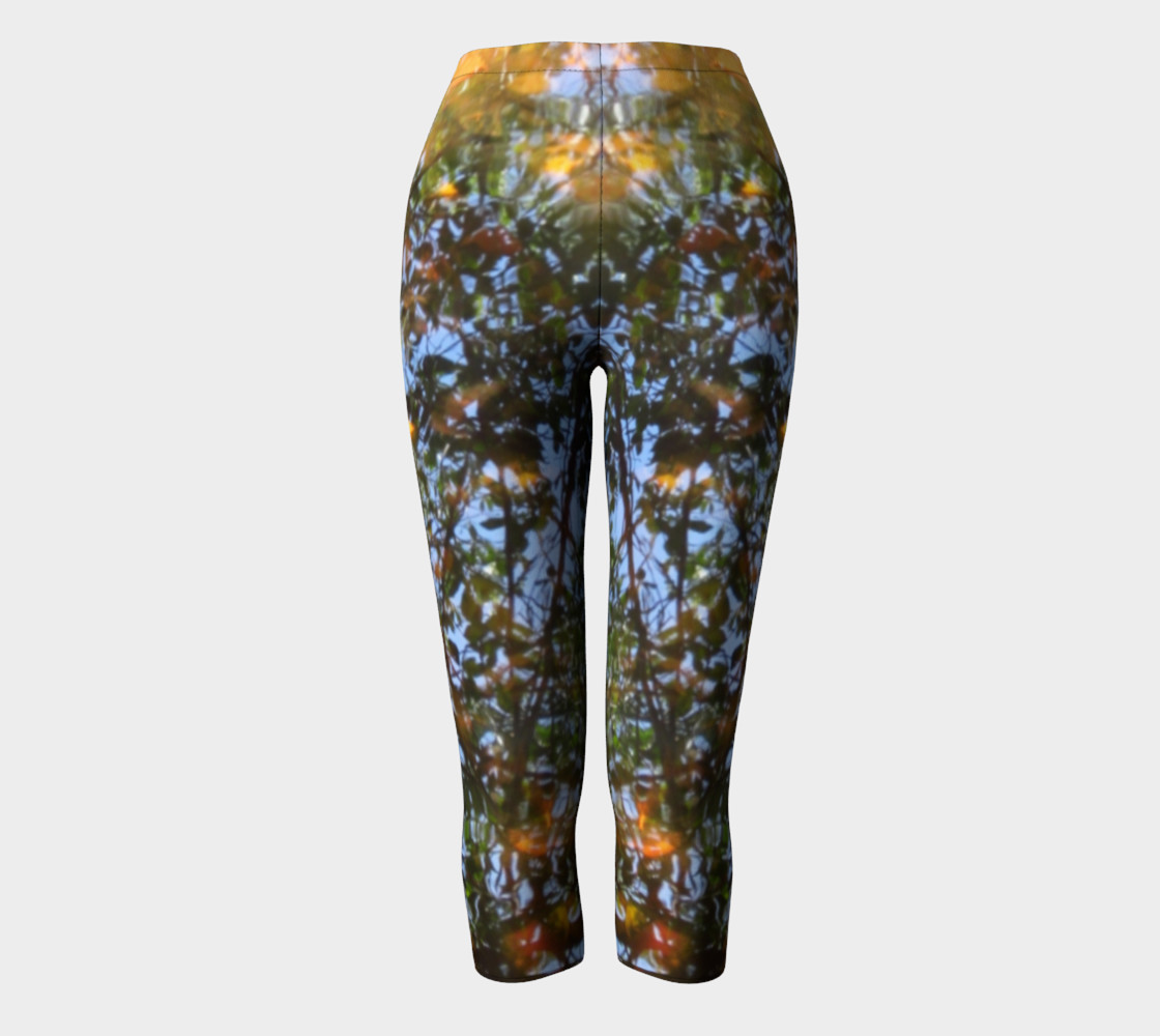Aqueous Reflections Capri 1 preview #2