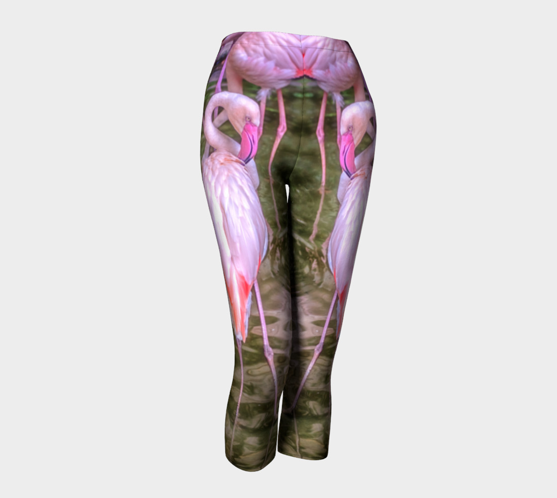 Pink Flamingos preview #1
