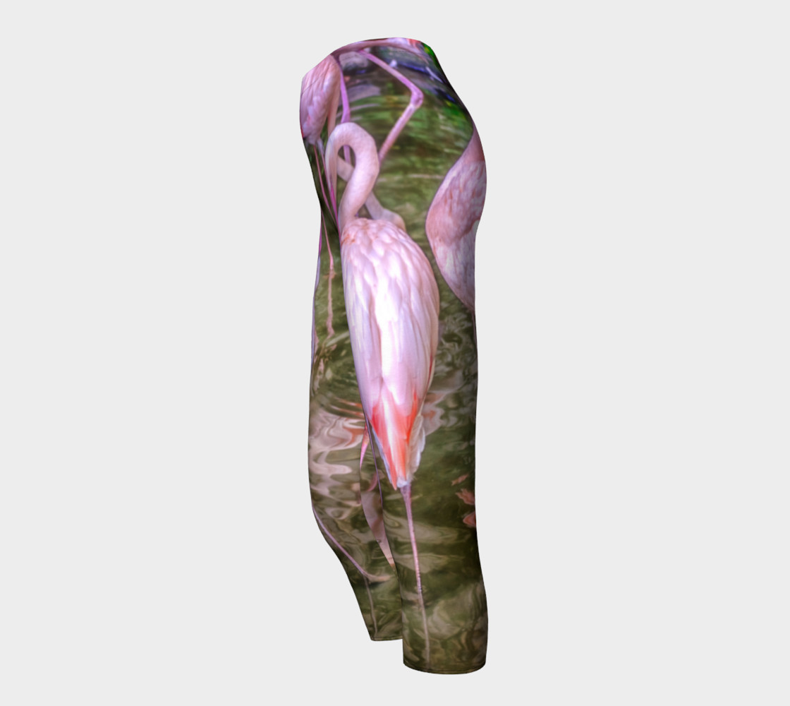 Pink Flamingos preview #3