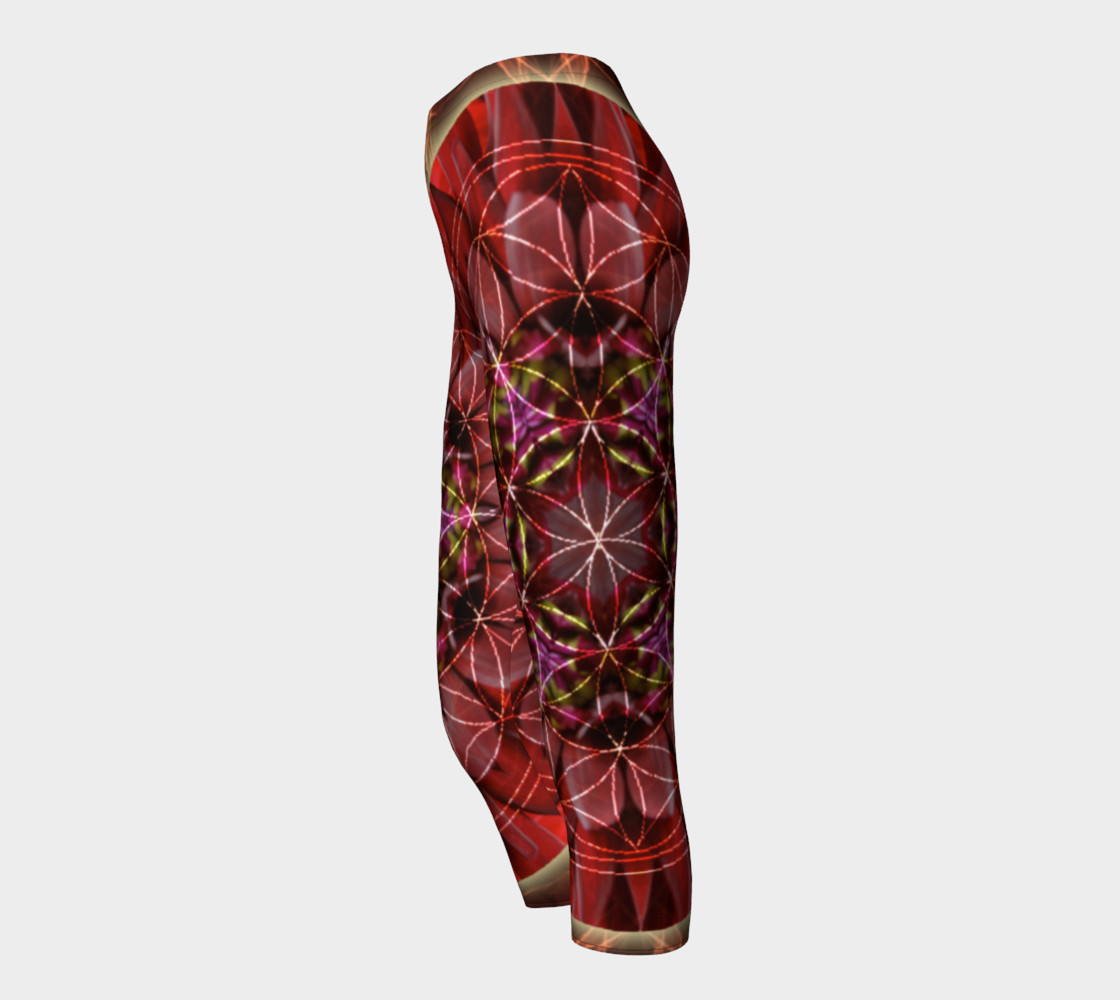 Dancing with the Sun Capris preview #3