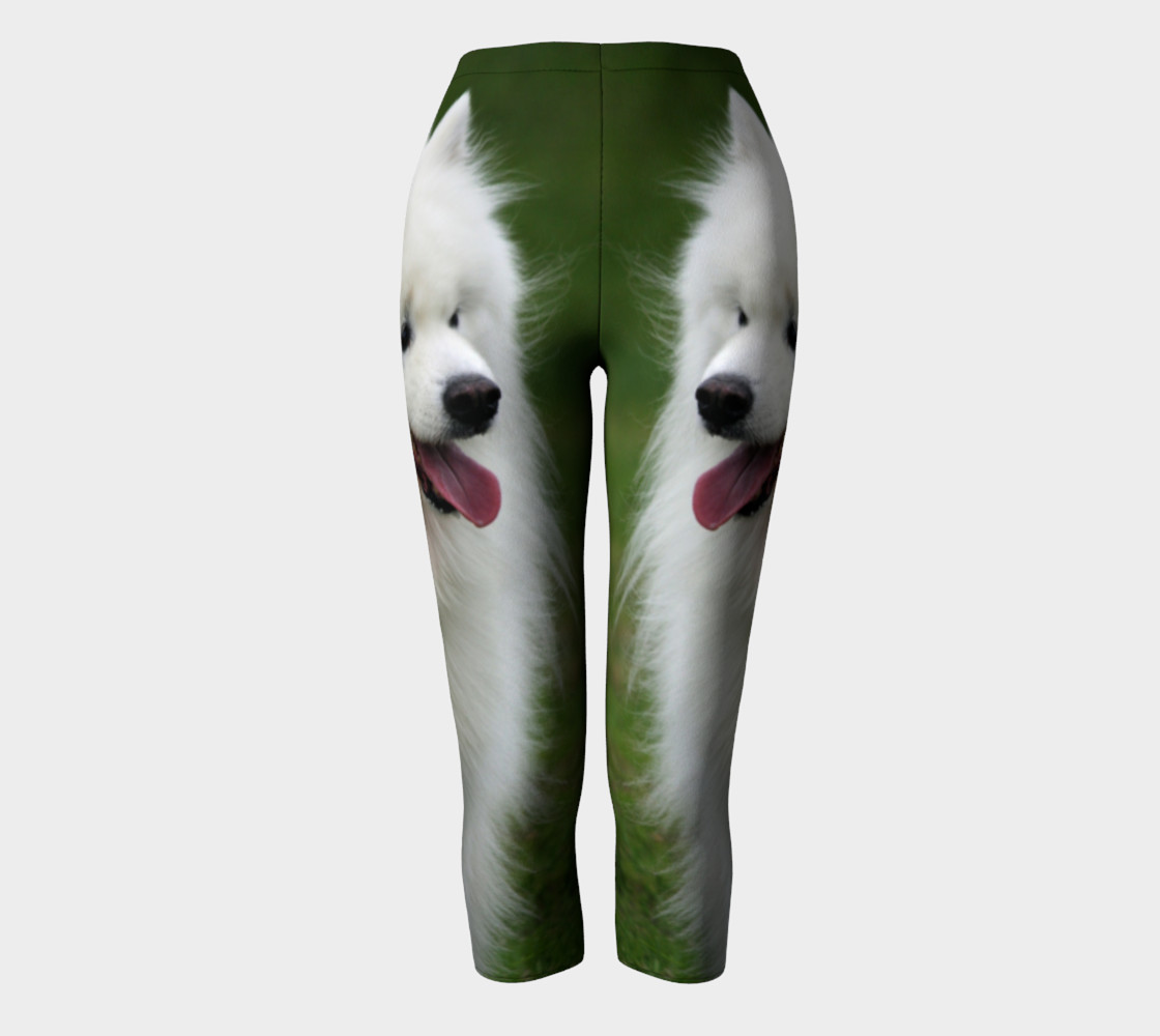 samoyed walking preview #2