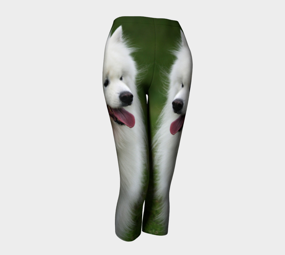 samoyed walking preview #1