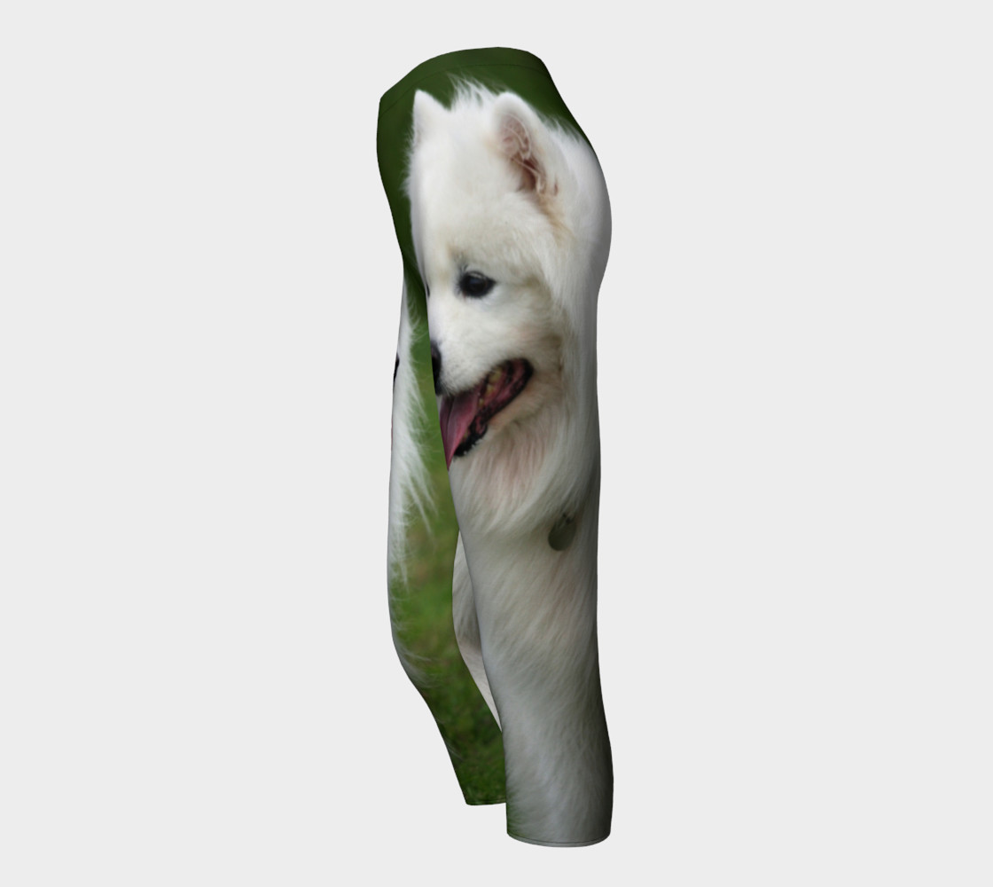 samoyed walking preview #3