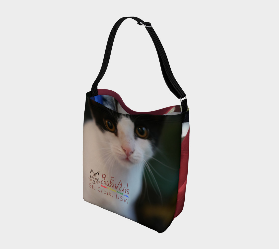 Aperçu de RCC CAT BAG 1 #2