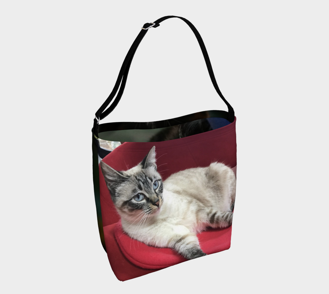 Aperçu de RCC CAT BAG 1 #1