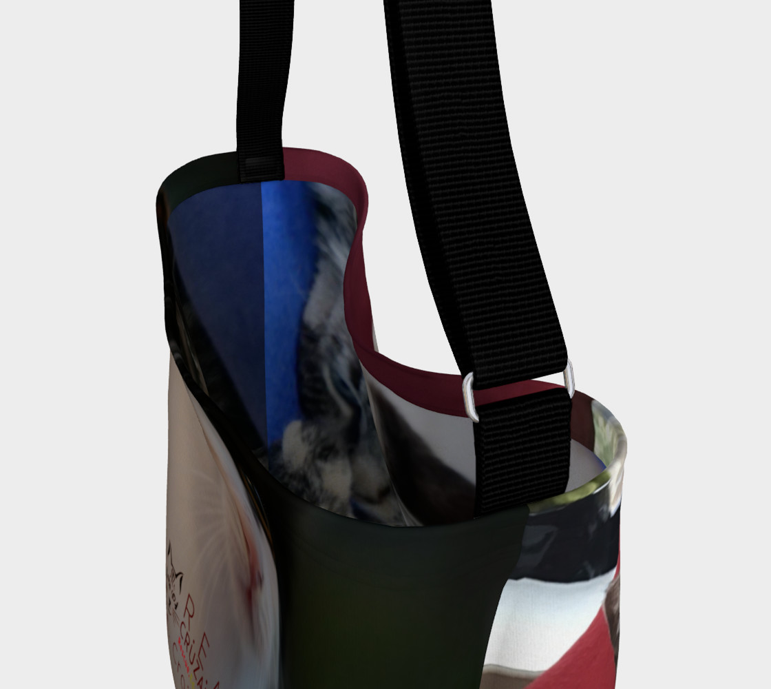 Aperçu de RCC CAT BAG 1 #3