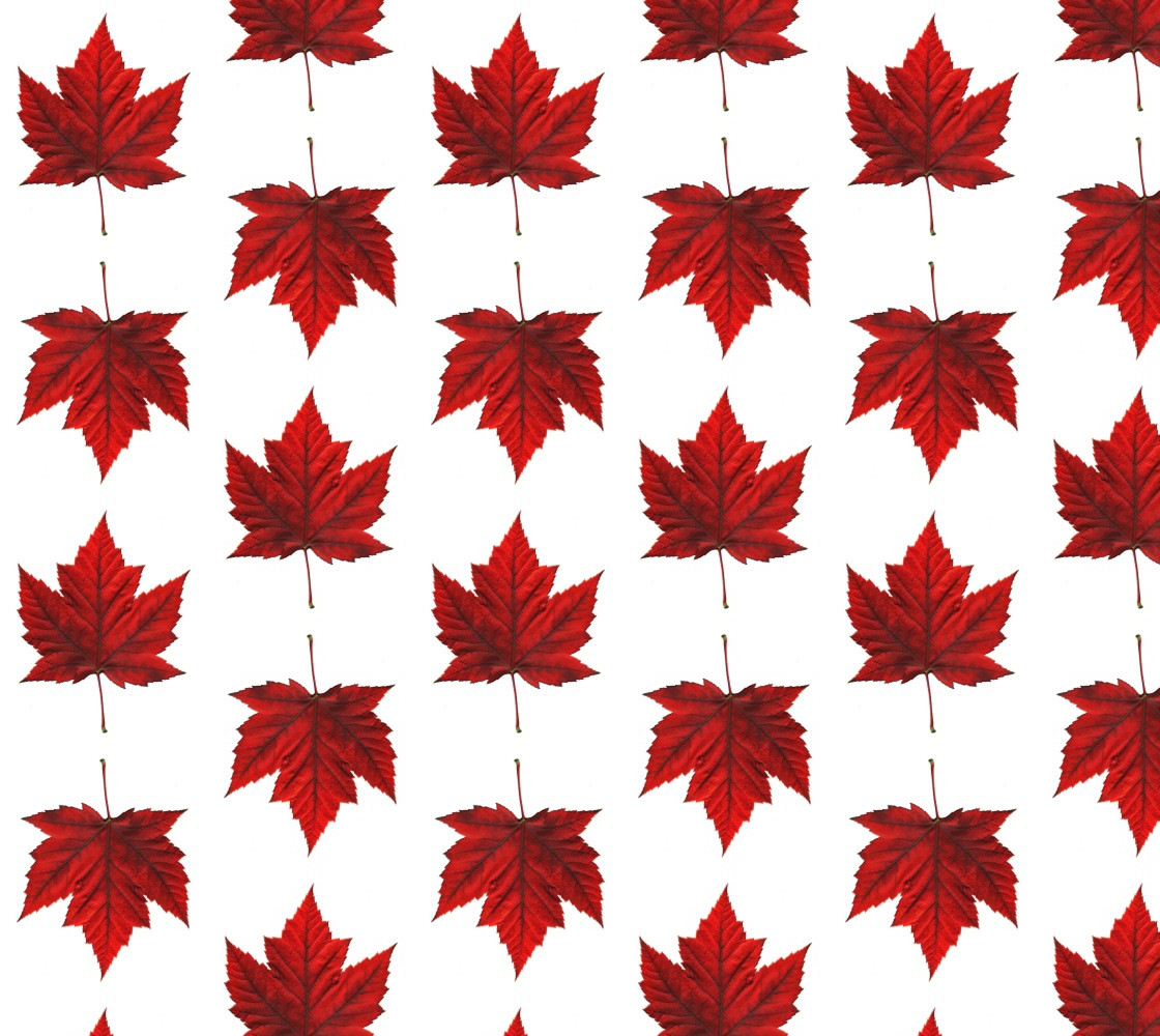 Canada Maple Leaf Fabric Red & White Canada Fabric thumbnail #1