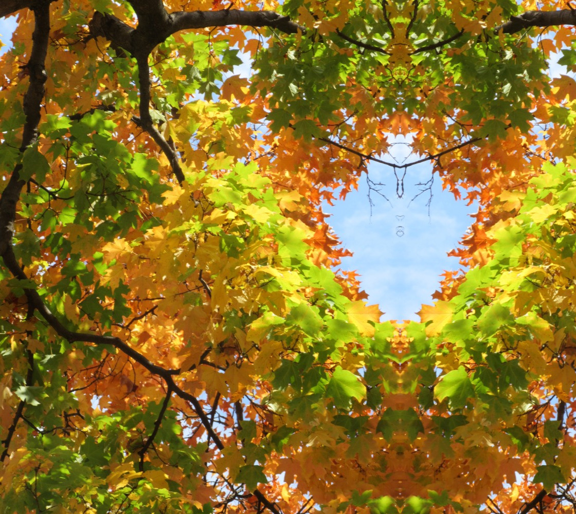 Autumn Leaf Kaleidoscope  Full Size 25.93 x 34.57 Miniature #1