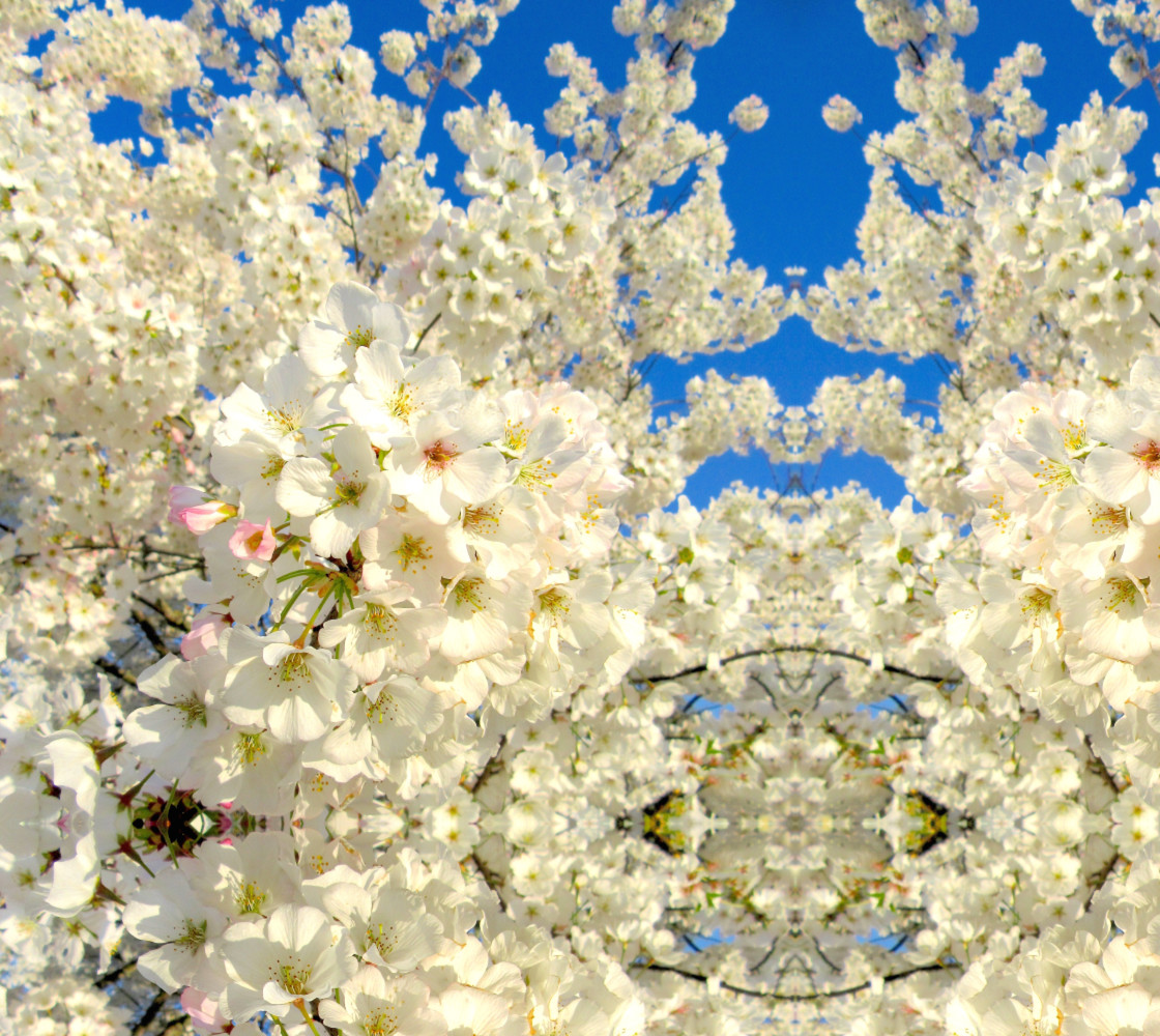 Cherry Blossom Lace Sky S3180 Basic Mirror 25.60 x 25.47 thumbnail #1