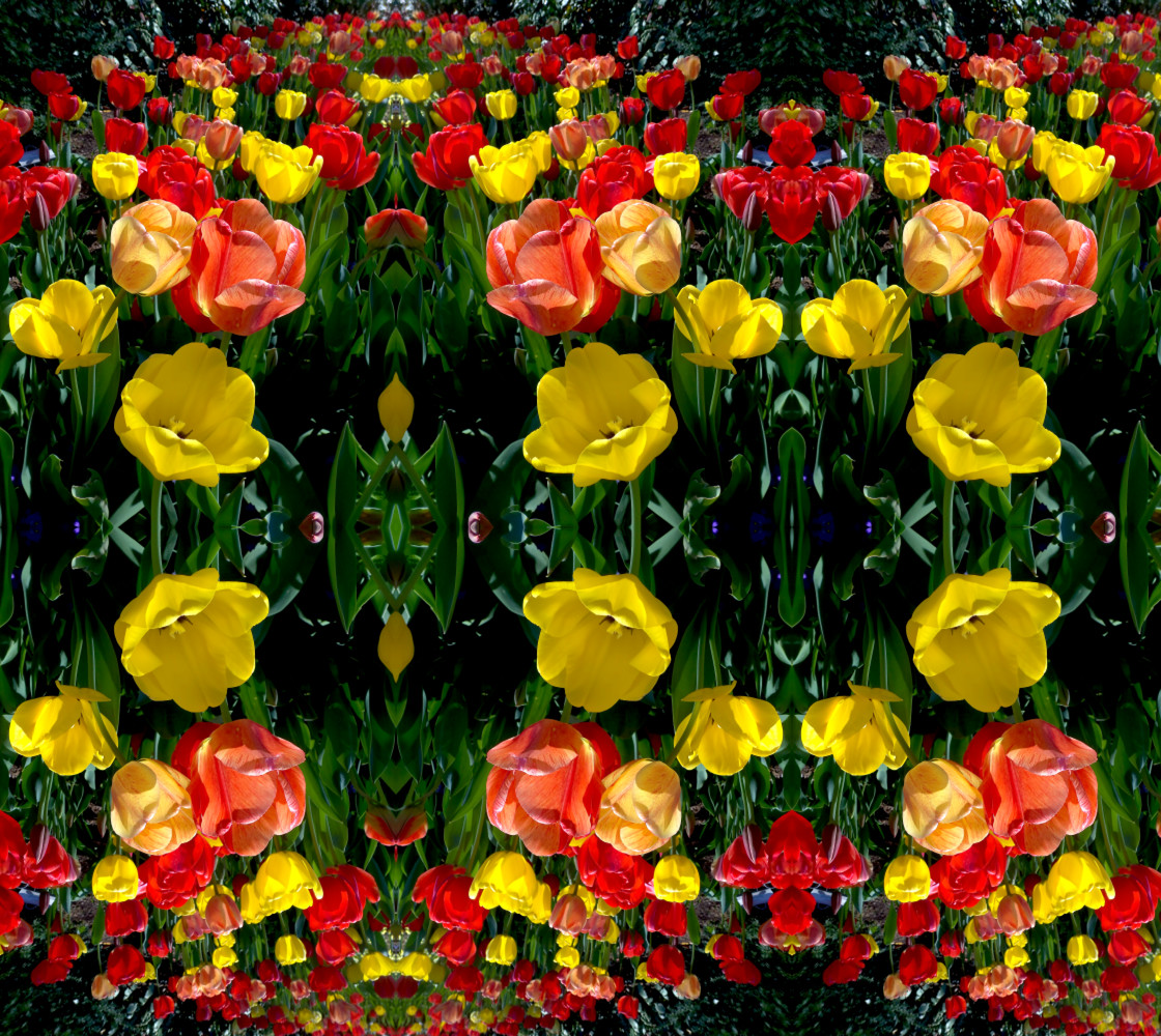 Tulip Festival Bright Large basic mirror 0504 12.73 x 16.96 thumbnail #1