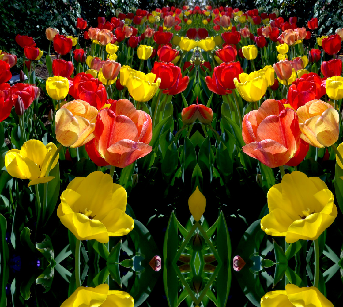 Tulip Festival Bright X Large basic mirror 0504 21.47 x x 28.50 Miniature #1
