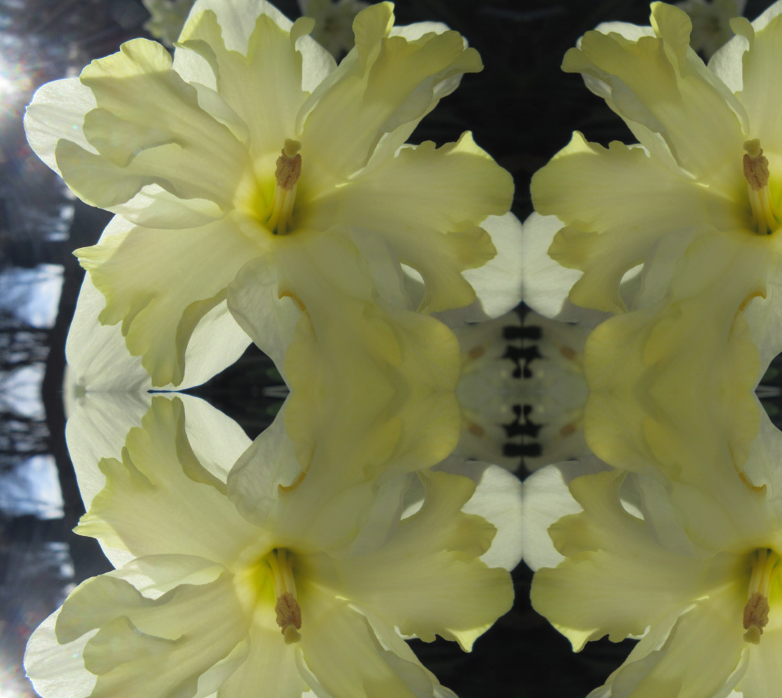 Daffodil Inspired by O'Keeffe  9305 Basic Mirror 24.98 X 19.70 Miniature #1
