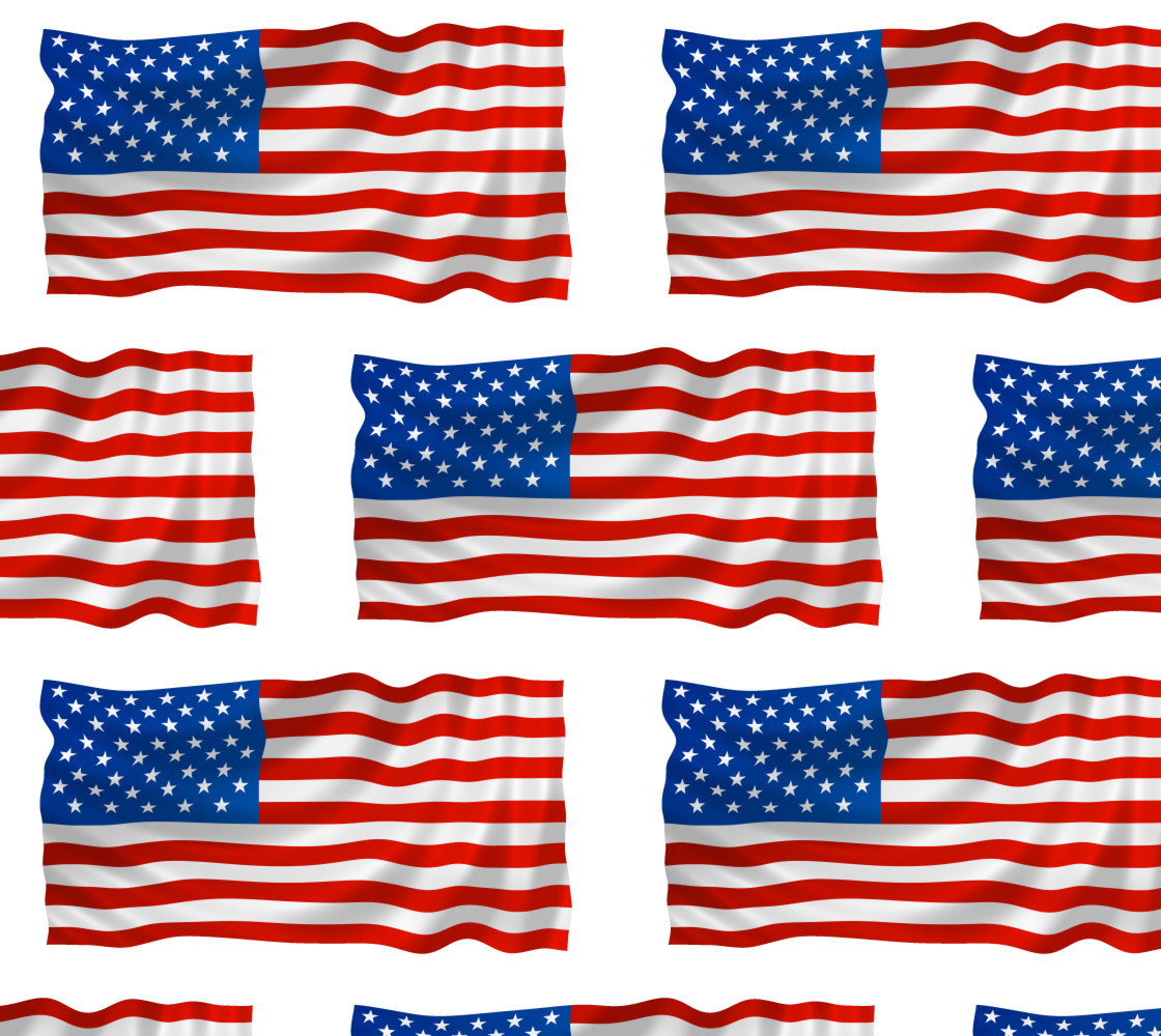 USA Flag  thumbnail #1