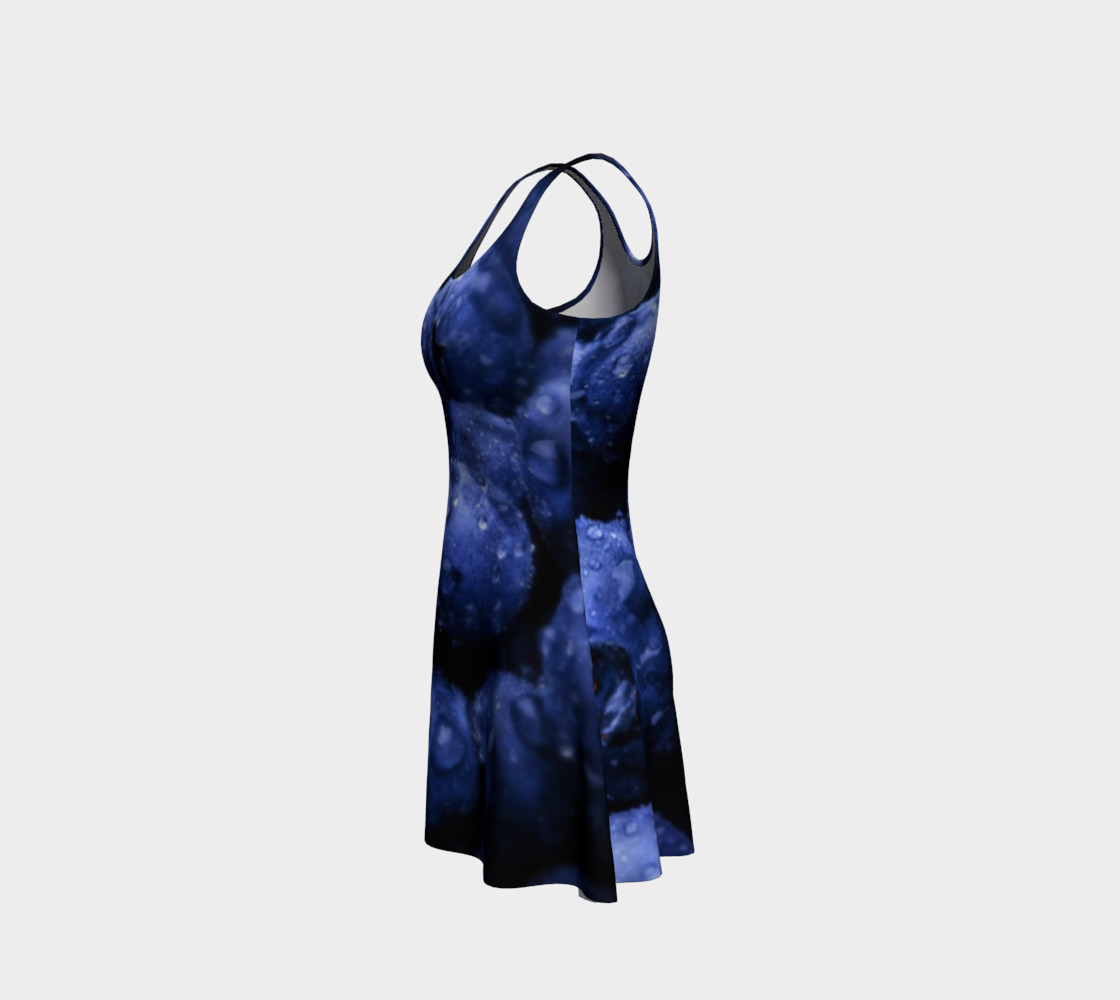 Blueberries preview #2