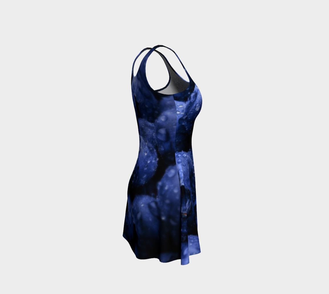 Blueberries preview #4