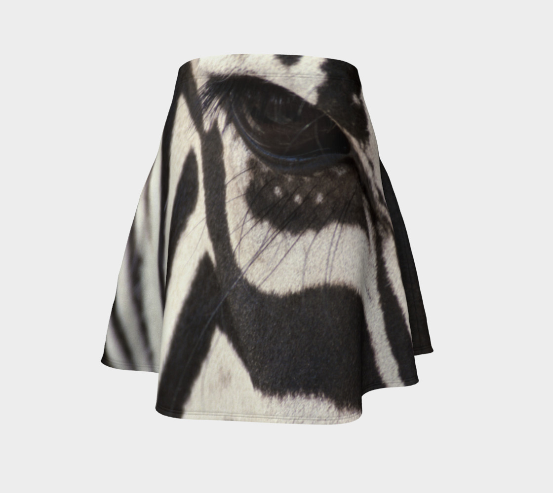 Zebra preview #4