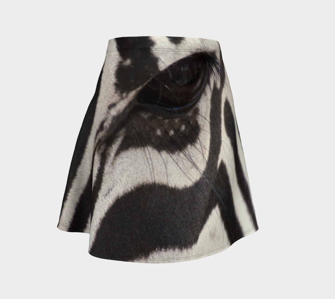 Zebra preview #1