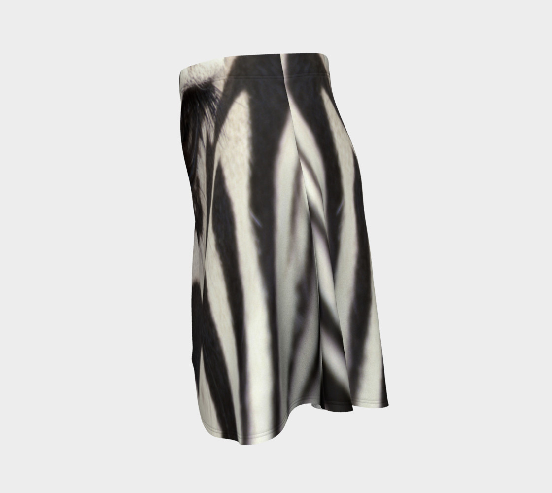 Zebra preview #2