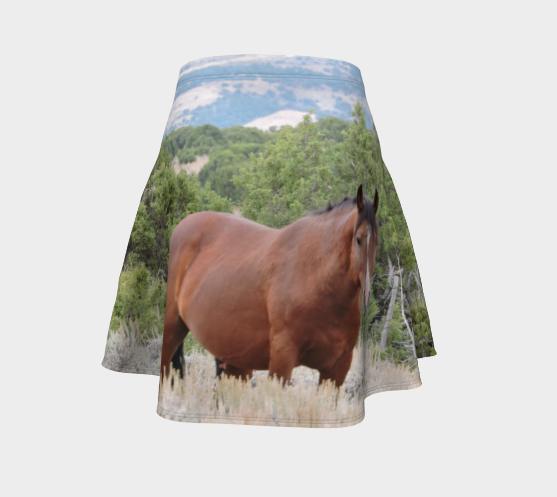 Sand Wash Basin Stallion Sundown preview #4