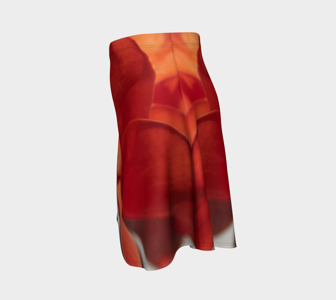 51_2_Skirt preview #2