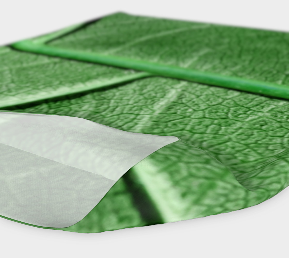 Veined Green Leaf preview #4