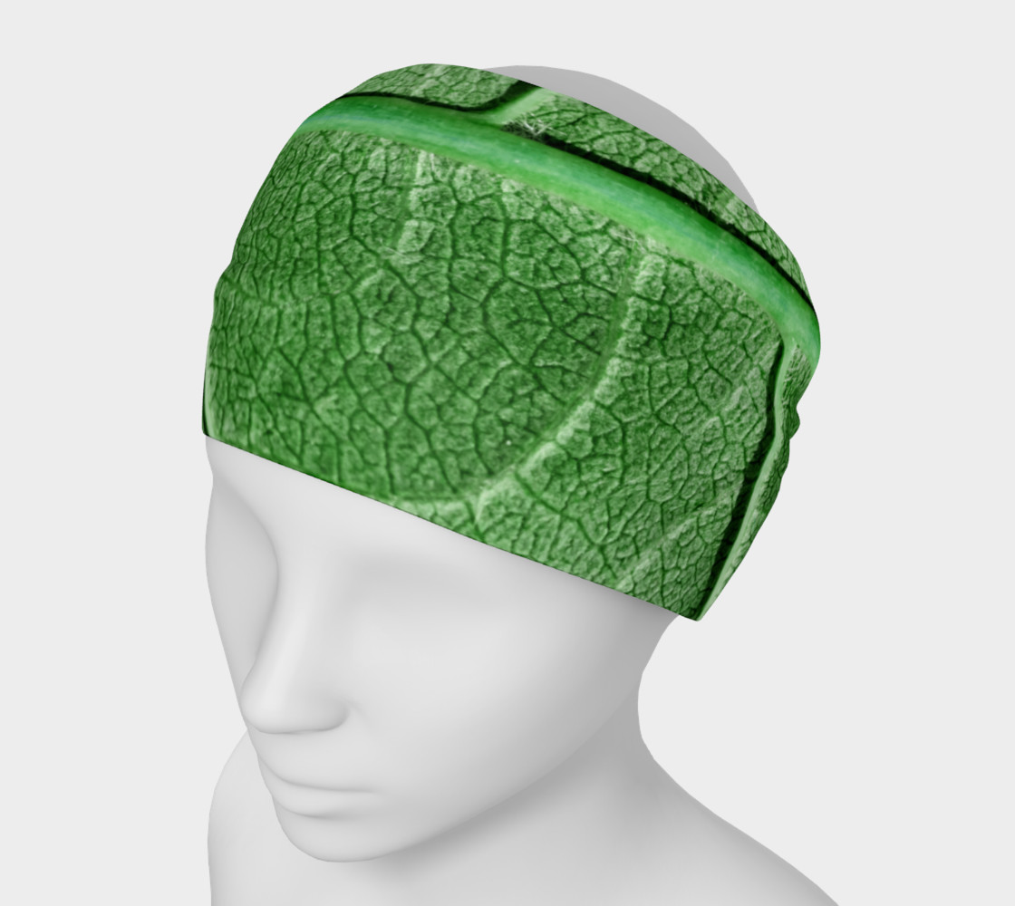 Veined Green Leaf preview #1