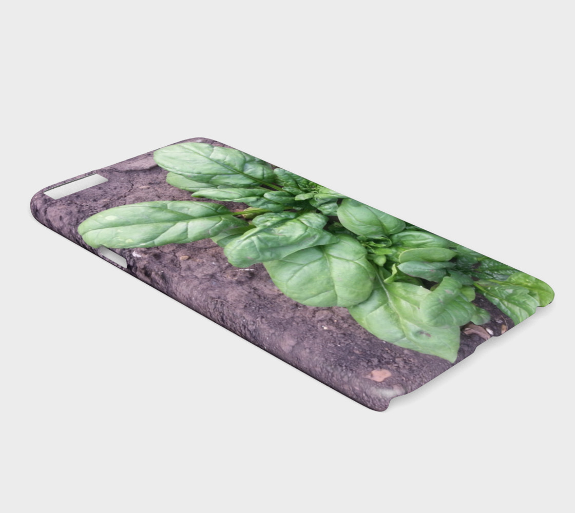 Khren. Russian rare plant, presage of love and happiness. preview #2