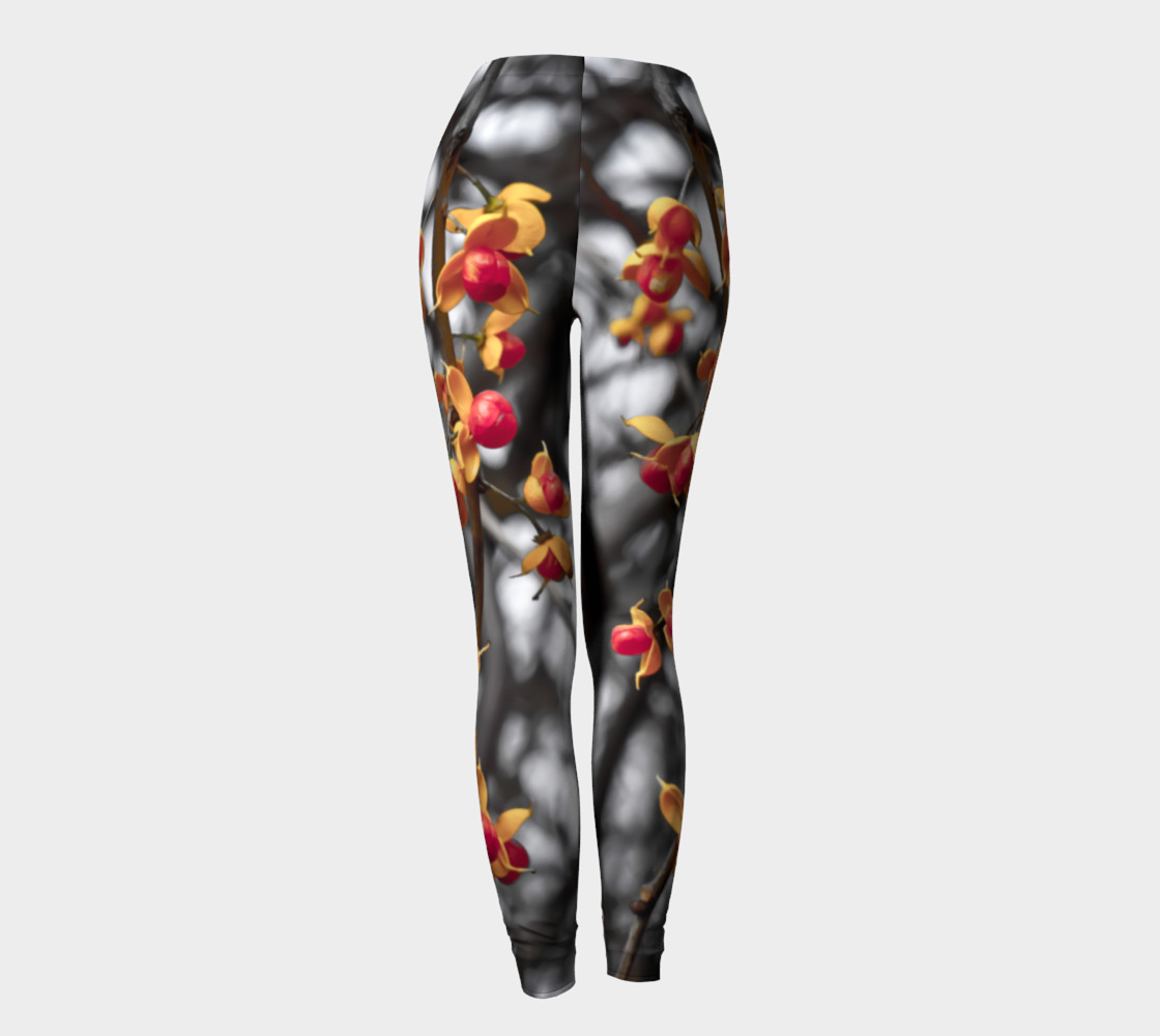 Revealing shells preview #4