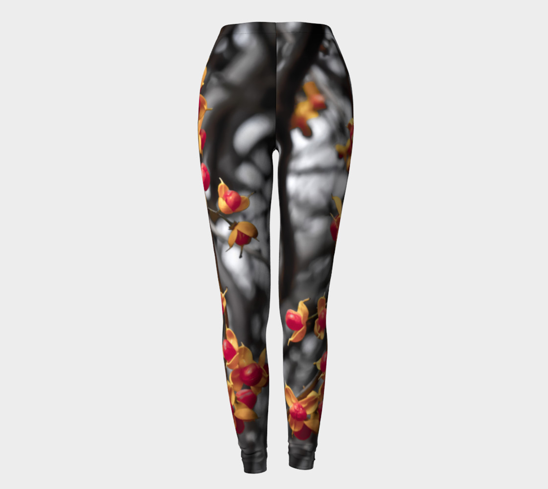 Revealing shells preview #2
