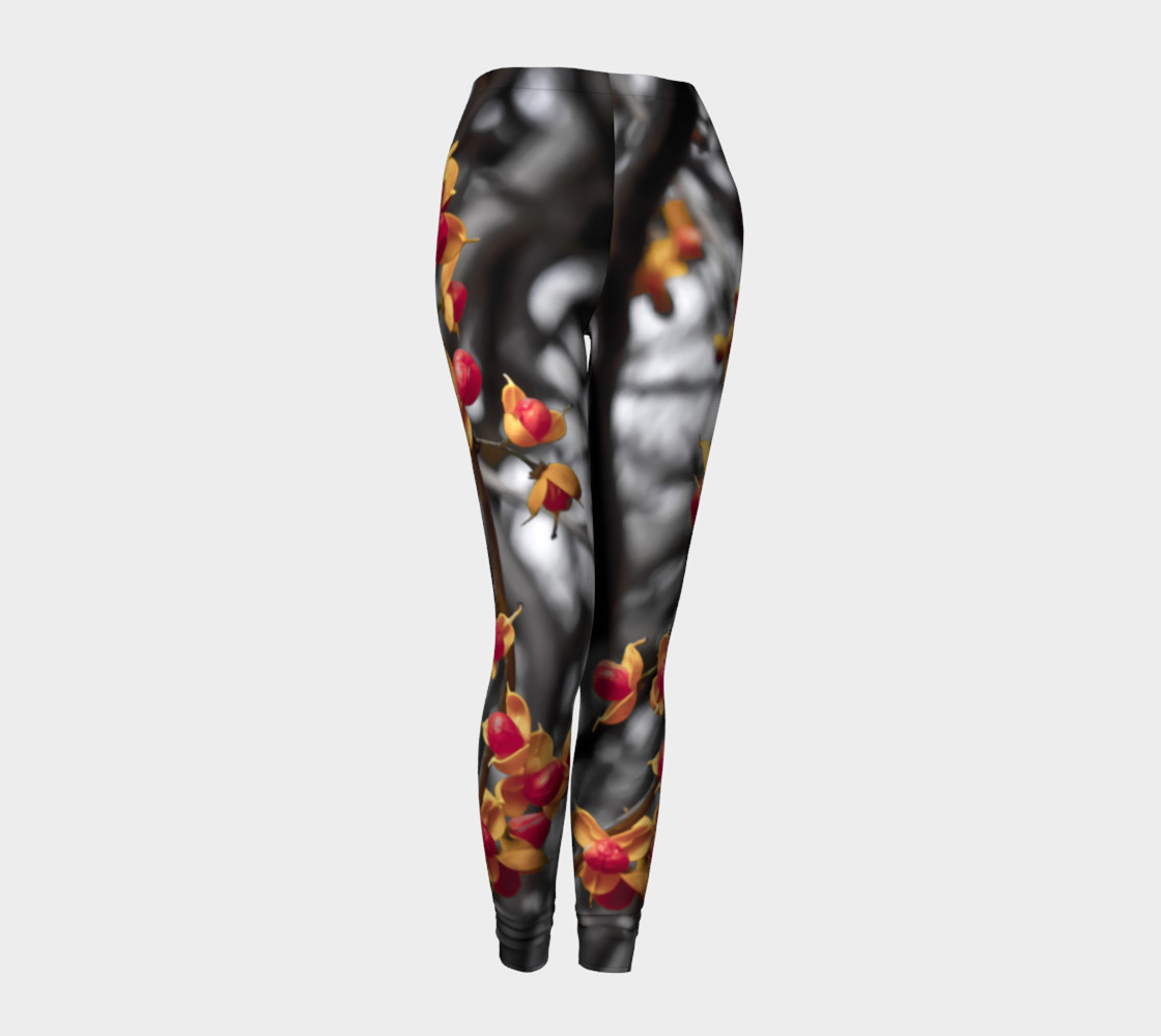 Revealing shells preview #1