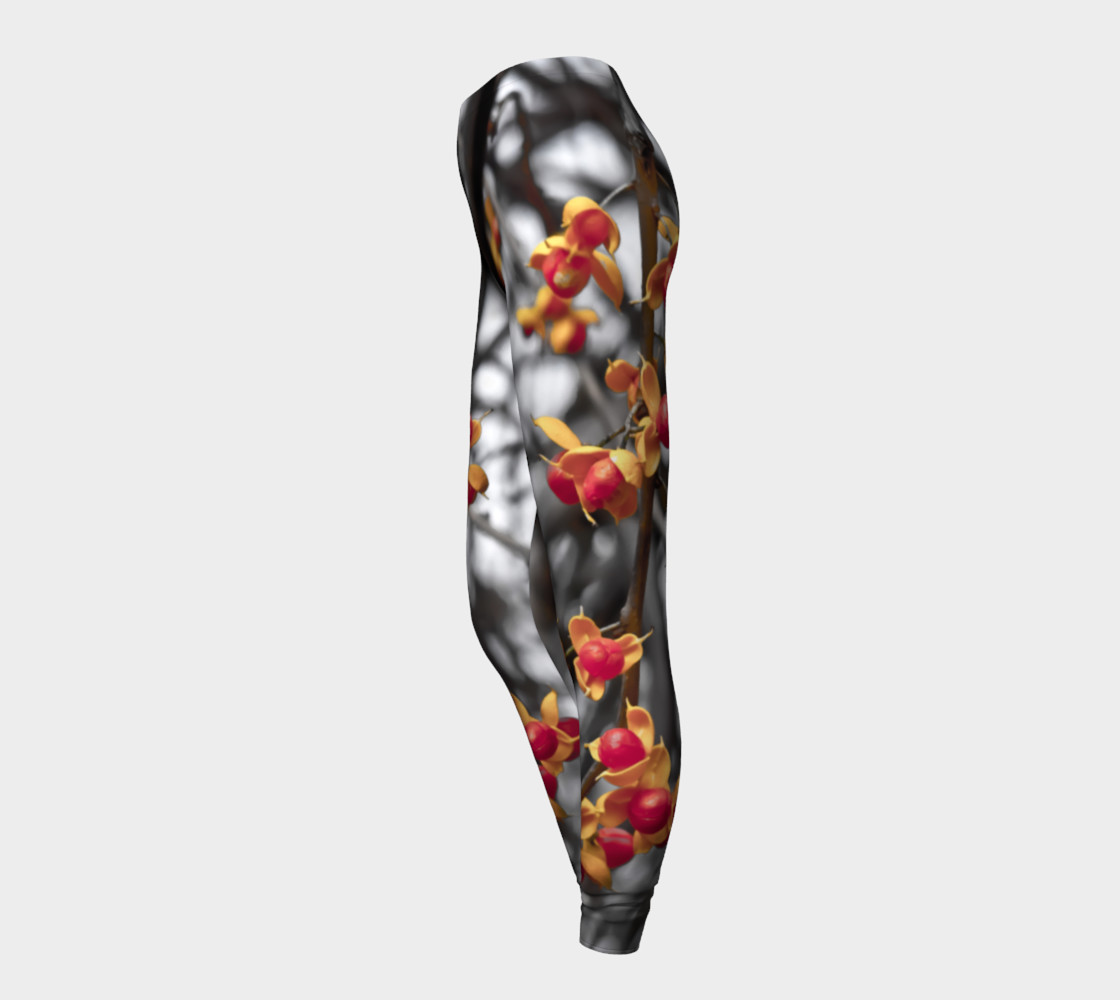 Revealing shells preview #3