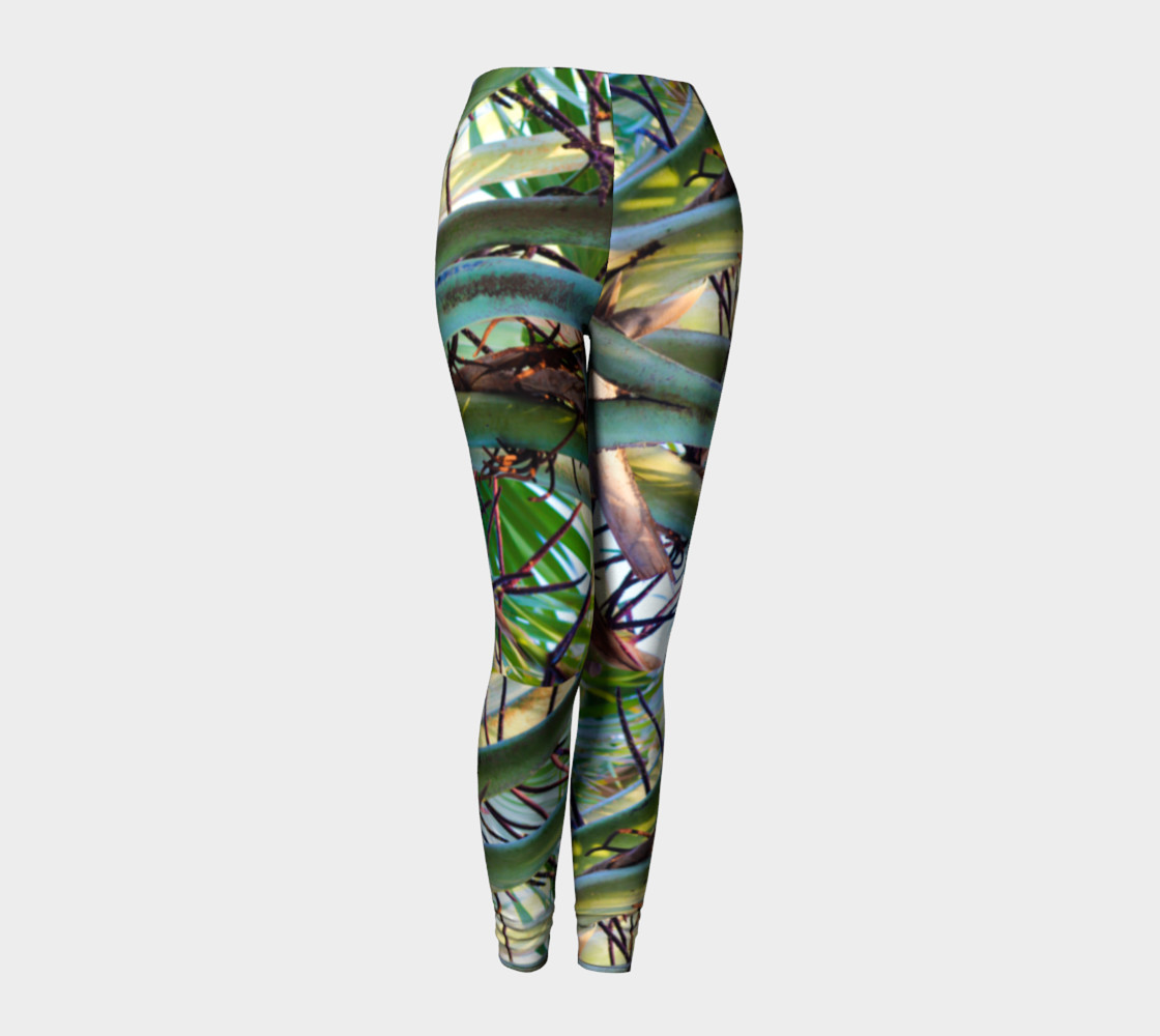 Shady Palm preview #1